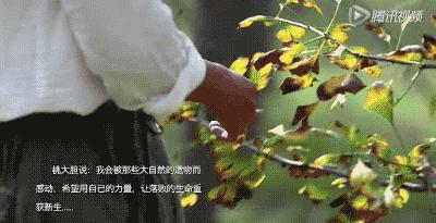 她31岁放弃北漂高薪，回归森林“捡垃圾”，用树叶打造出人间仙境