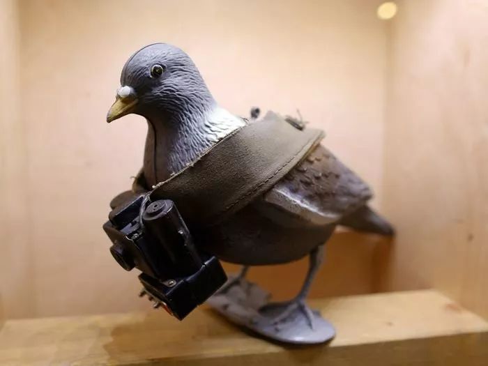 各国秘密间谍行动,各国间谍战有多凶险