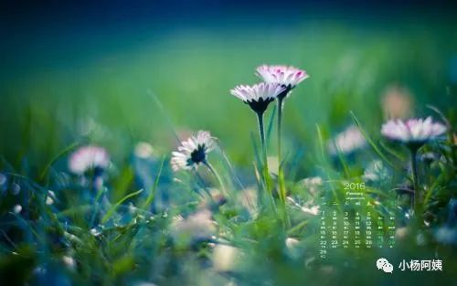 自媒体个人号怎么吸引粉丝,个人公众号前期怎么吸粉