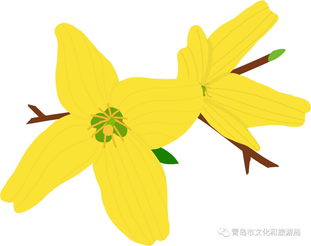 识花赏花学知识,赏花识花学知识