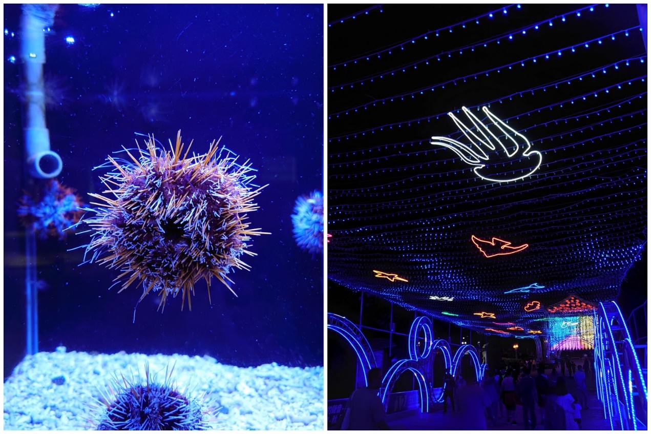 索尼xperia5ii拍照,索尼xperia5ii主摄