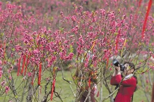 过年就近去哪里玩,新年去广西哪里玩