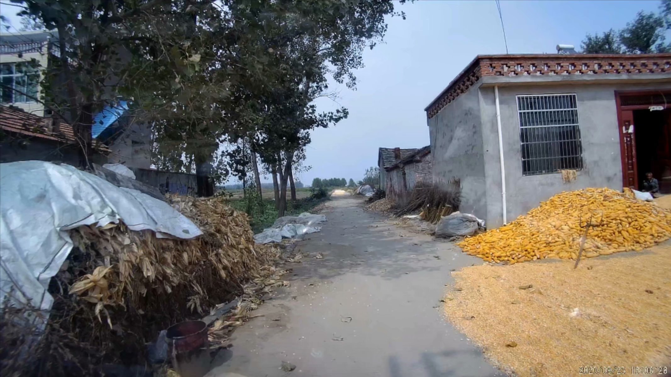 俞伯牙墓为什么在固镇,俞伯牙墓出土