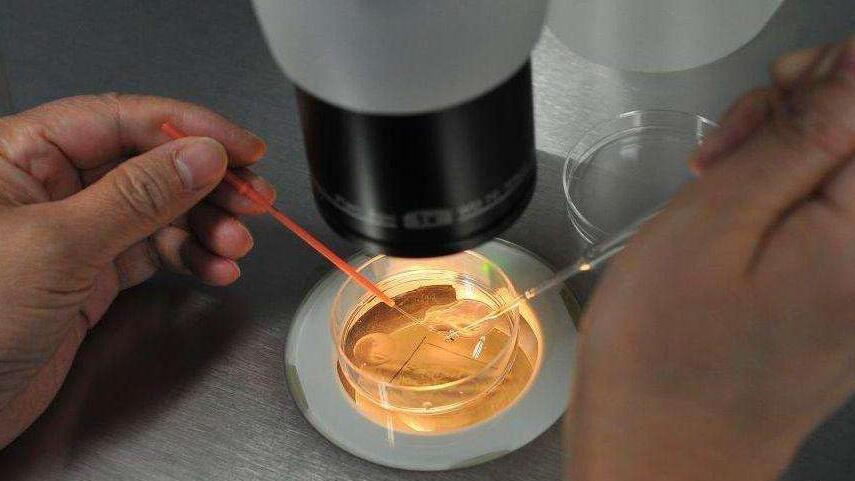 试管婴儿常识知识,准备做试管婴儿你知道流程步骤吗