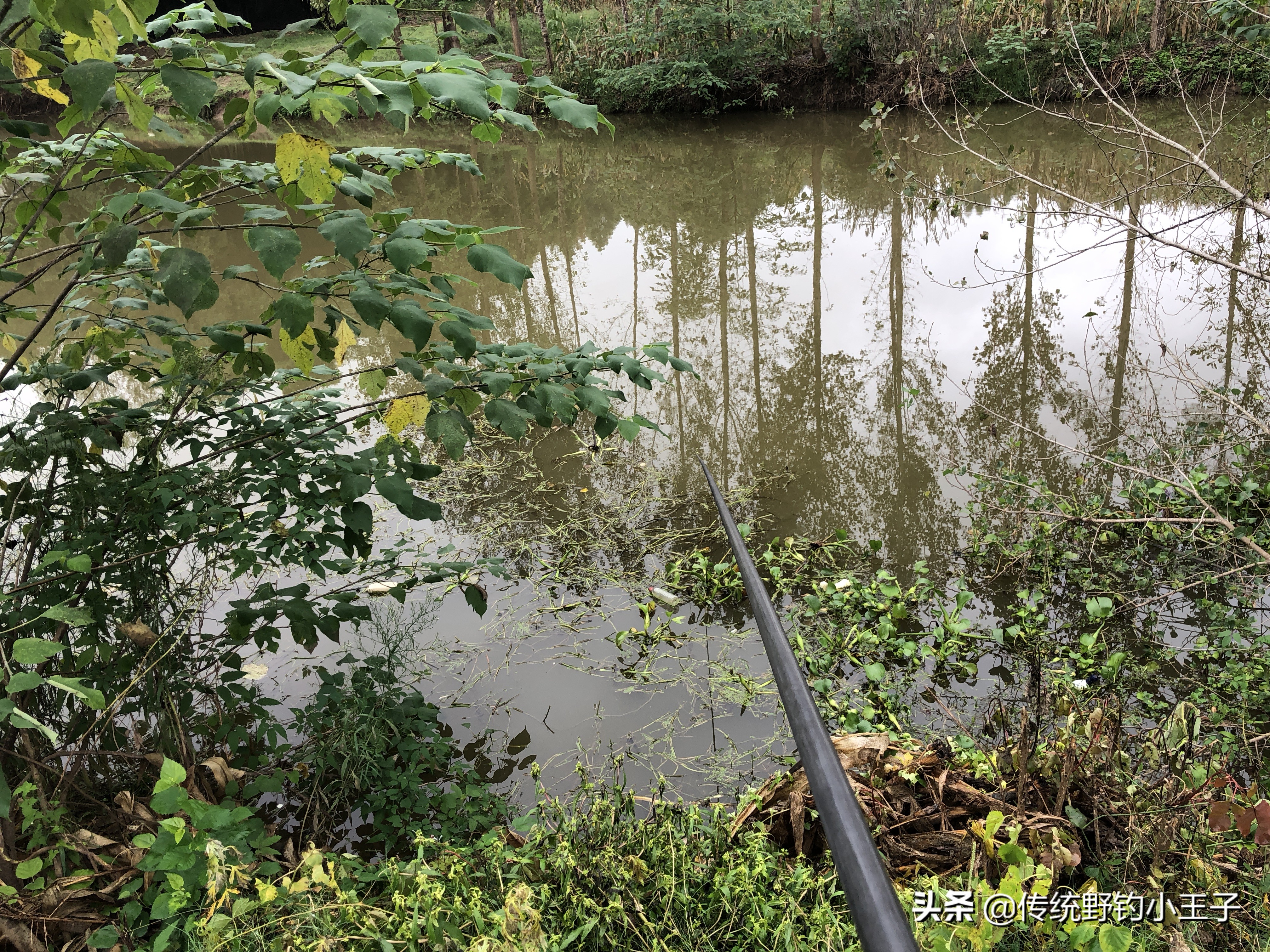 谷麦钓通线1.5和2.0对鱼口影响大吗,野钓谷麦用什么打窝比较好