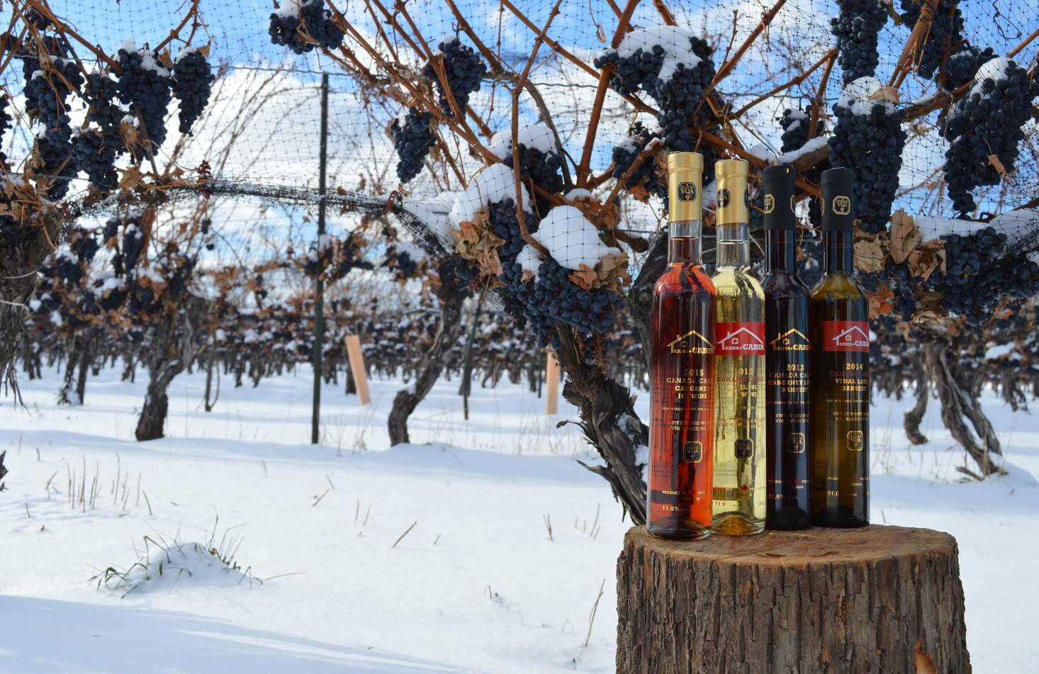 加拿大有名酒庄,加拿大十大著名冰酒价格