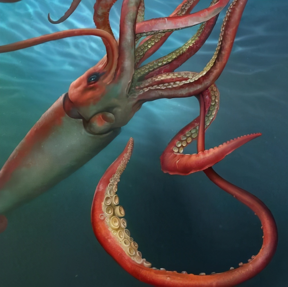 你所不知道的动物冷知识,不可思议的动物冷知识英文