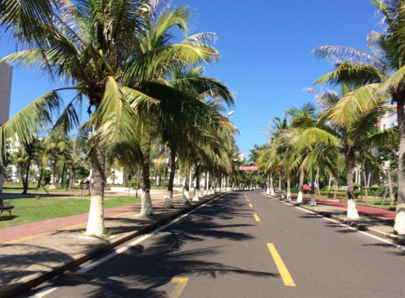 海南大学2024建议录取有用吗,海南大学服从调剂会退档吗