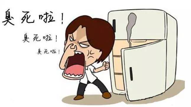 冰箱负离子杀菌是真的吗,负离子生态杀菌冰箱