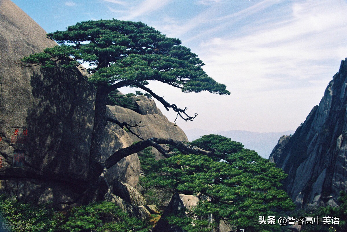 2021新高考英语一卷完形填空解析,2021年高考英语全国甲卷语法填空