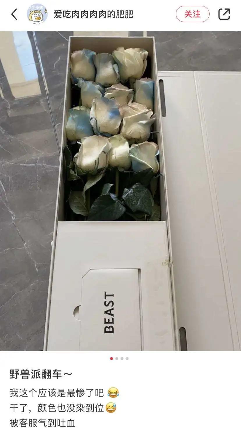 野兽派一支玫瑰多少钱,野兽派2万多的花