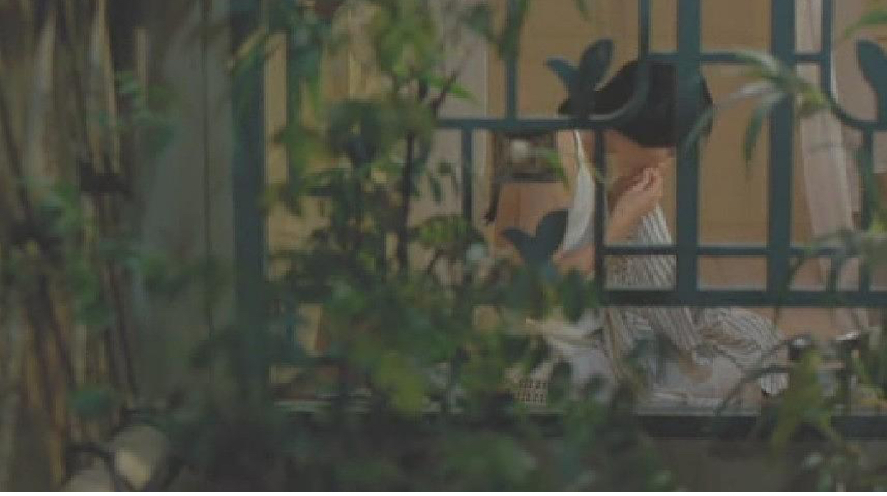 青木瓜之味影评分析,青木瓜之味阅读题答案