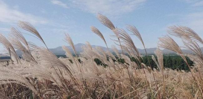 人活在世上的理由,活在世上的理由