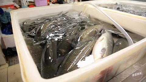 被忽略的宝藏小城,最地道的美食都藏在街角小巷里