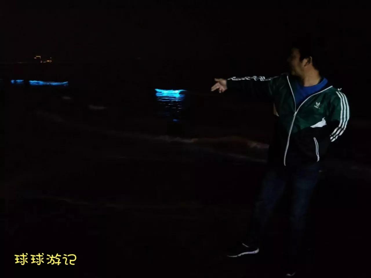 东戴河有蓝眼泪吗,中国海滩夜光藻