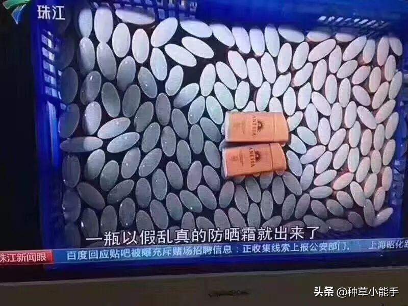 网红卖的安耐晒,安耐晒低价