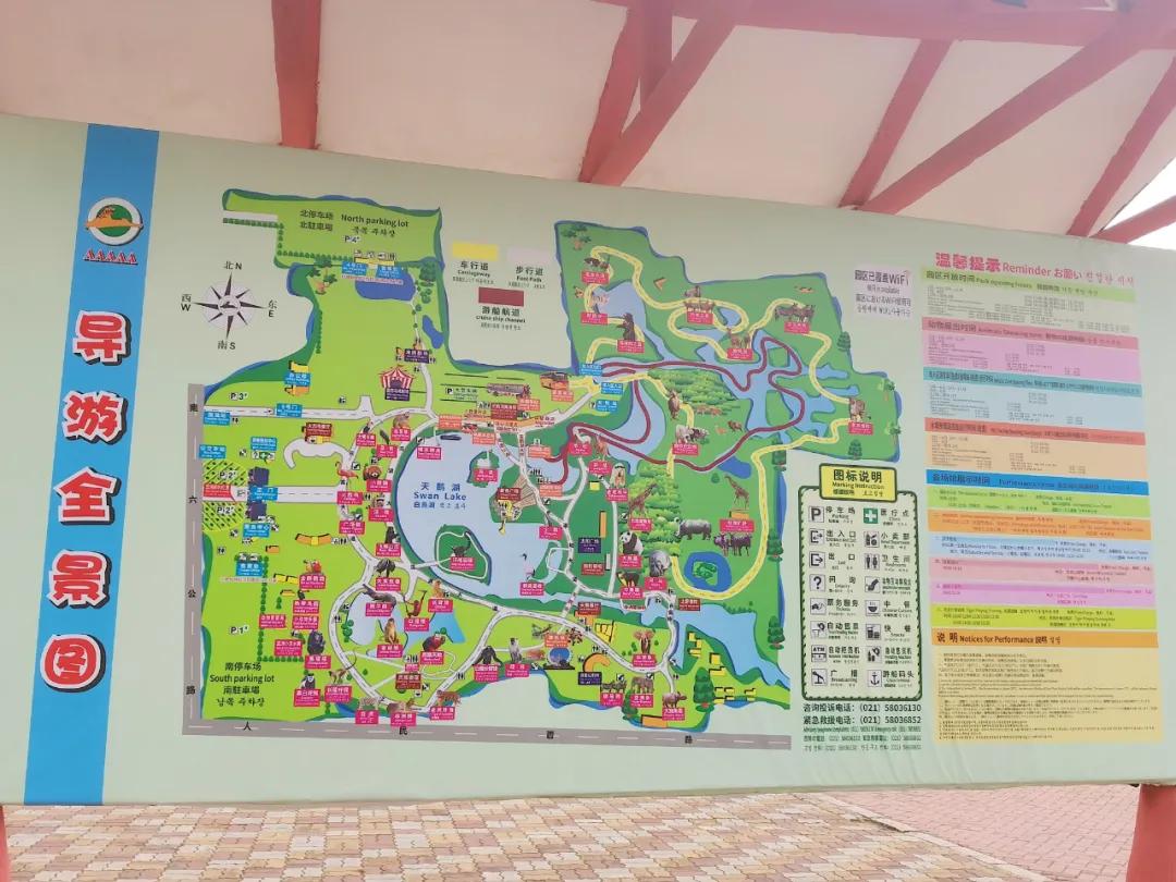 上海野生动物园儿童票标准,上海野生动物园门票价格表