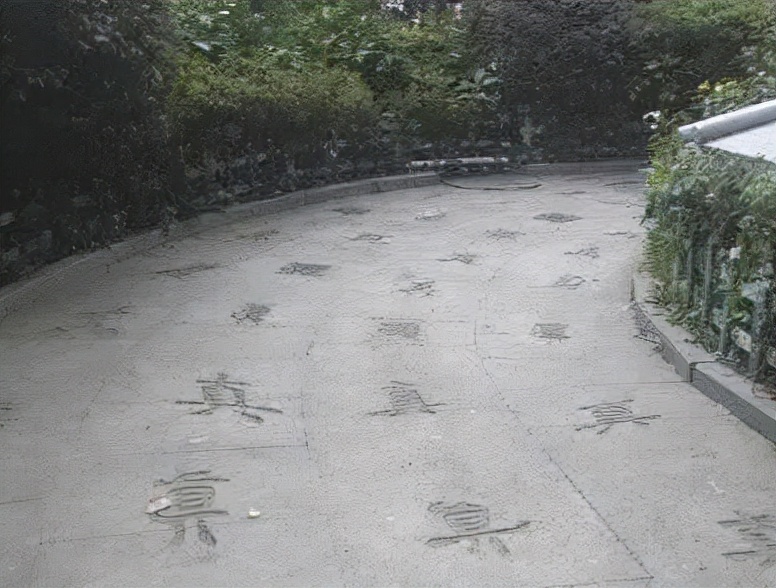 最美的风景美丽的校园,最美的风景就是校园