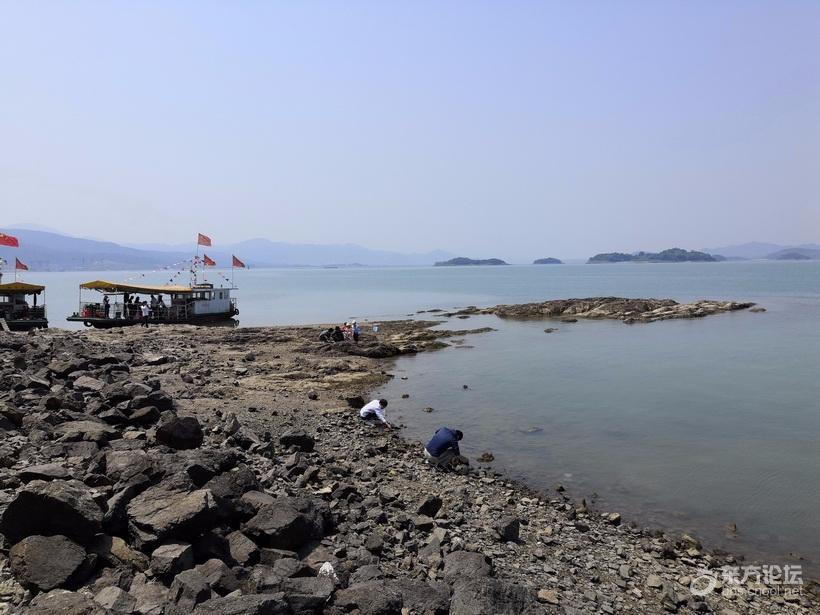 奉化海鲜自助餐有没有帝王蟹,奉化海鲜餐推荐