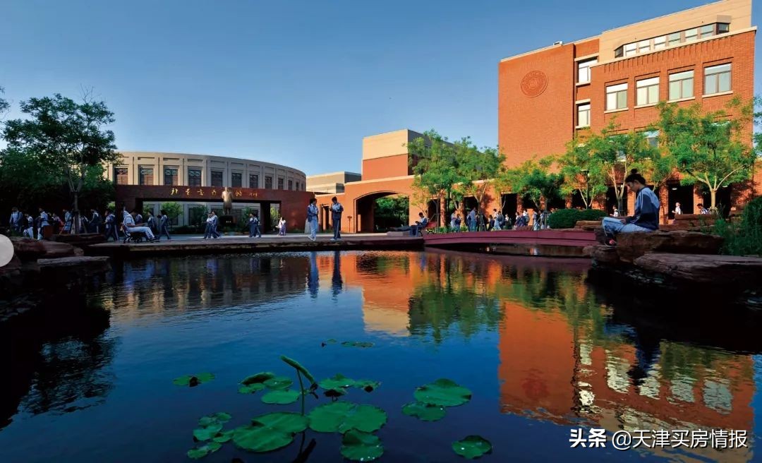 别再神话这里的教育了，天津生态城上学买房深度拆解