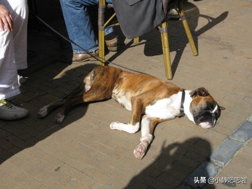 你不知道的国家冷知识捷克,你不知道的国家冷知识立陶宛