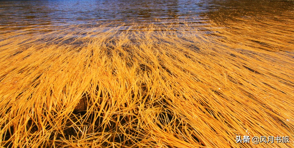 西昌山火肆虐过后救火者,西昌木里救火英雄