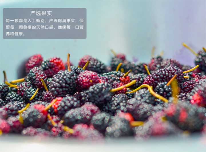 正宗的桑葚汁,桑葚和牛奶打成桑葚汁好喝吗