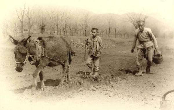 从乾隆嘉庆时期苗民叛乱事件入手,浅析清政府各项管理制度缺陷