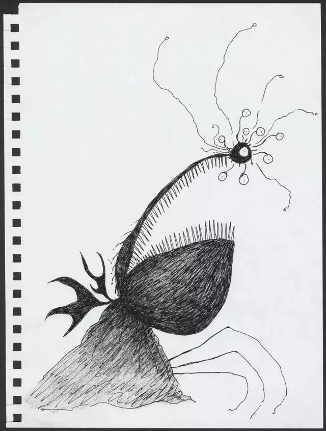 德普最喜欢的人,德普真正爱的人