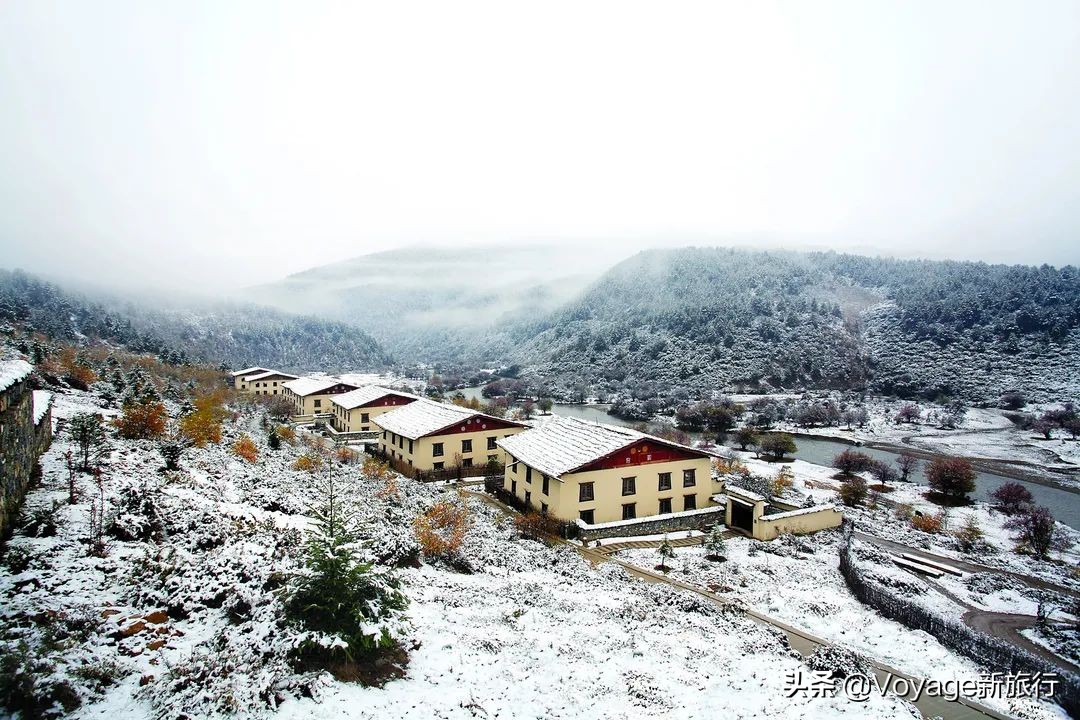 微信步数今天有但是之前的是0,今日微信步数为0