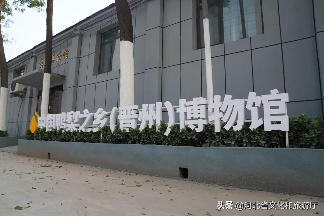 晋州市采摘园一日游攻略,晋州采摘园攻略