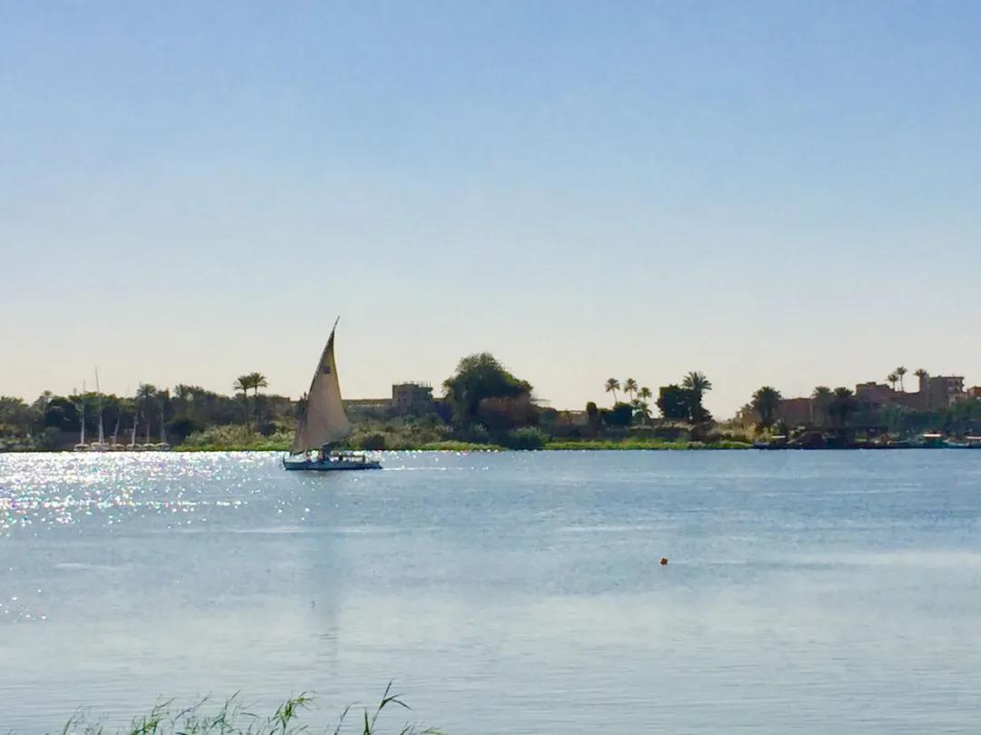 埃及开罗最新疫情,疫情期间埃及开罗怎么回中国