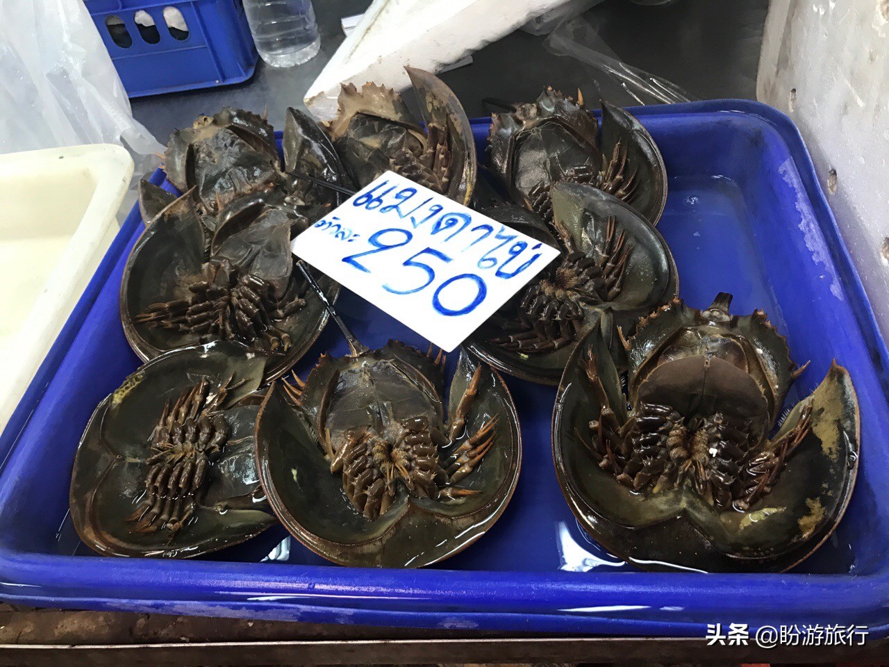 泰国海鲜芭提雅,泰国曼谷海鲜推荐