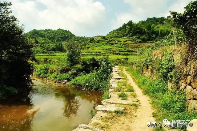 关于野猪的俗语,野猪的俗语
