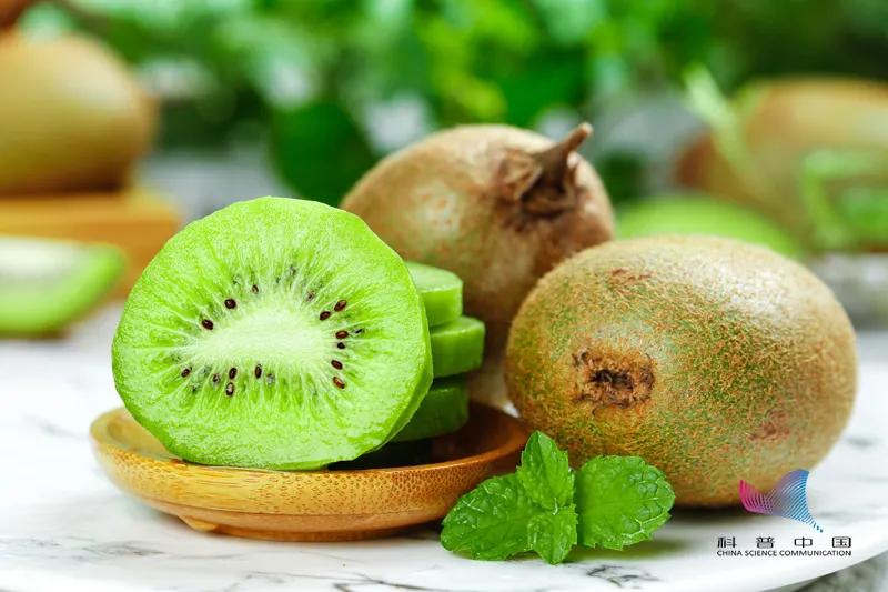 车厘子樱桃菠萝凤梨,车厘子樱桃猕猴桃奇异果