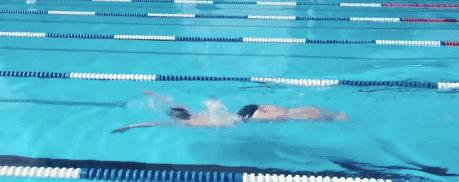 中游体育波浪式蛙泳,波蛙和竞技蛙泳有什么区别