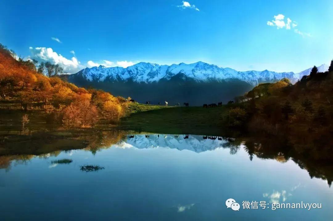 甘南旅游攻略超详细,甘肃甘南不自驾游3天攻略