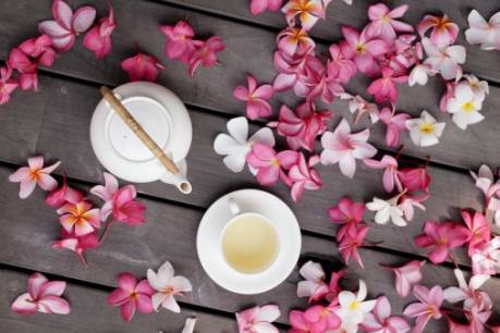 不同眼光看茶之美,用不同眼光看茶之美