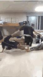 小短腿猫搞笑gif图,搞笑gif段子最后这只猫也太萌了吧