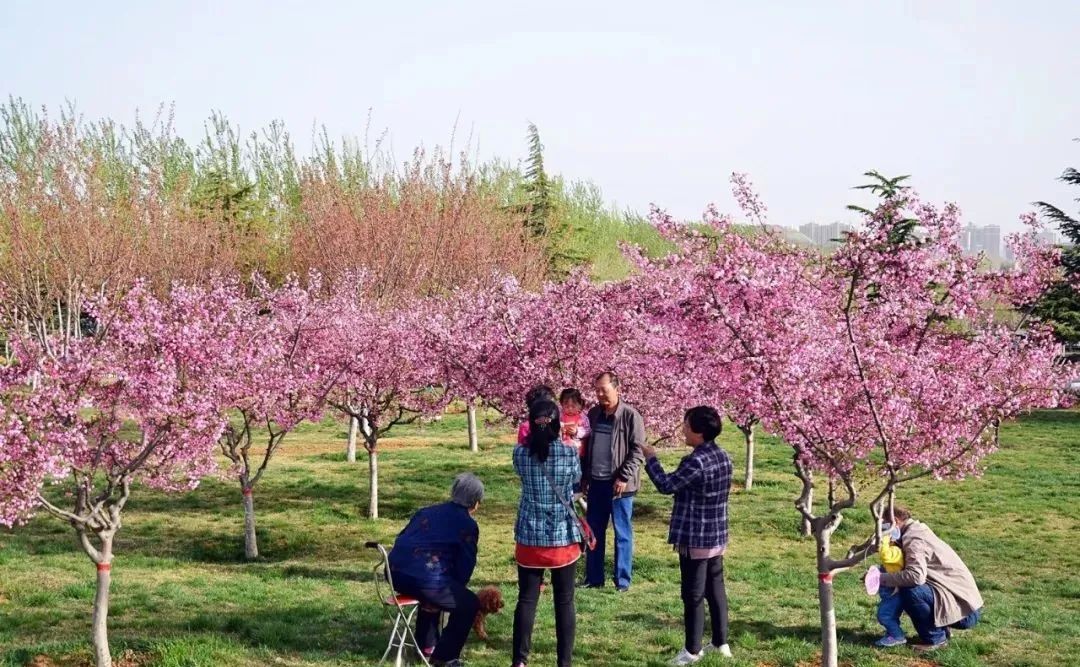 晋城司徒小镇异域风情,晋城皇城相府和司徒小镇