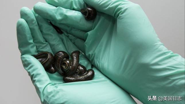 美国最先进的医院在哪里,美国100年前的样子