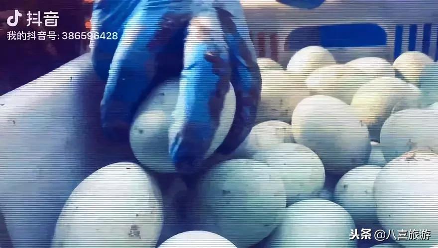 李公堤特色美食,旅游产品的特色