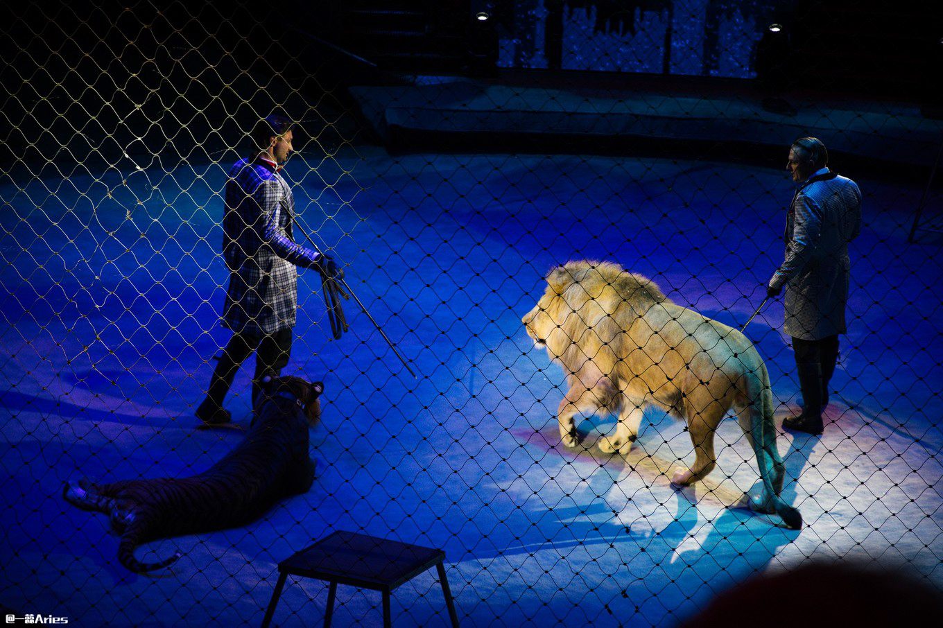 今天想帮我们的好邻居“战斗民族”俄罗斯，也上一次热搜