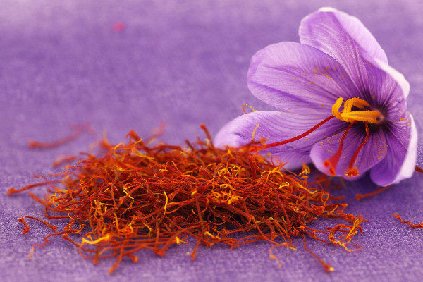 藏红花品种大全图片及名称,红花和藏红花是一个品种吗