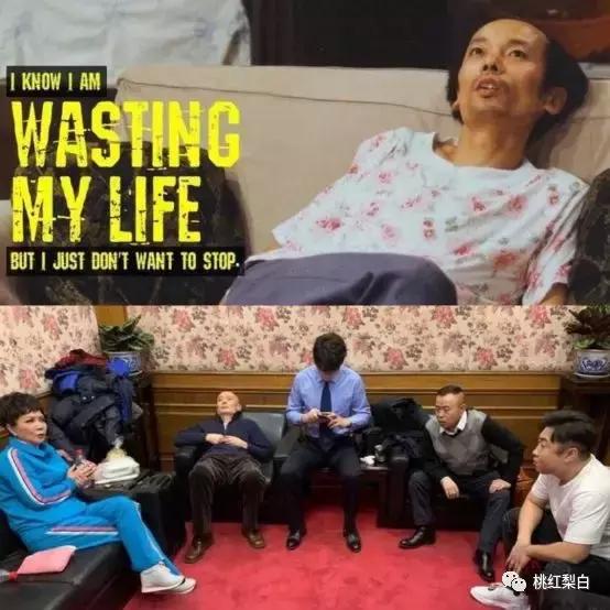 瘦身后的闫妮气场真不一般,闫妮林志玲