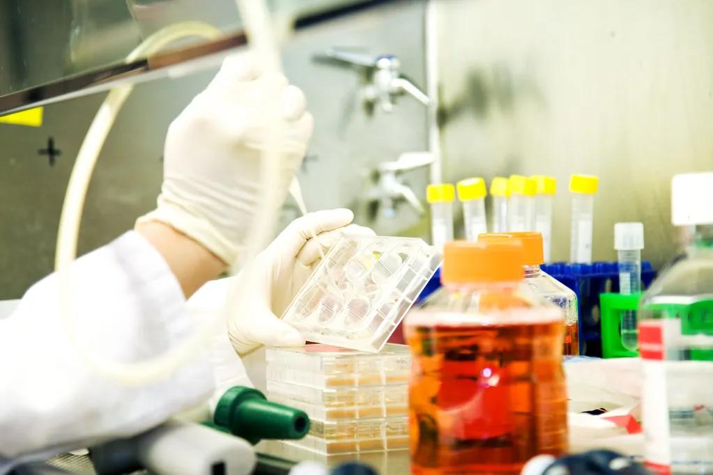 地球下面真的有科学家吗,为什么地球只有50亿年