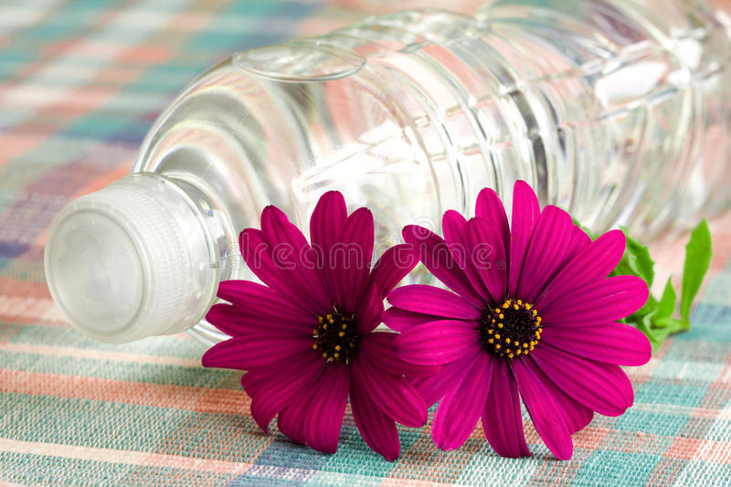 废弃的矿泉水瓶不要扔废物利用,小学生矿泉水瓶废物利用小发明