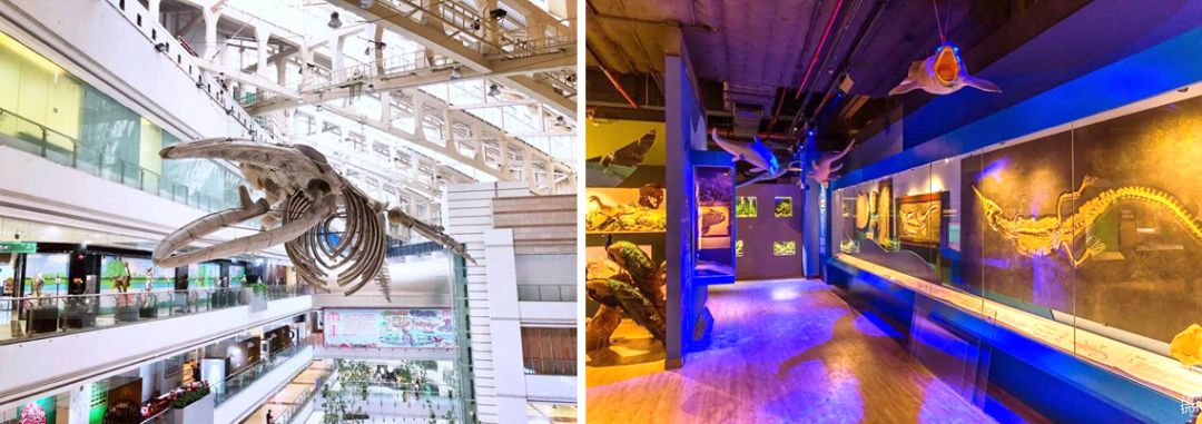 广州正佳广场新模式,广州正佳广场的未来发展策略