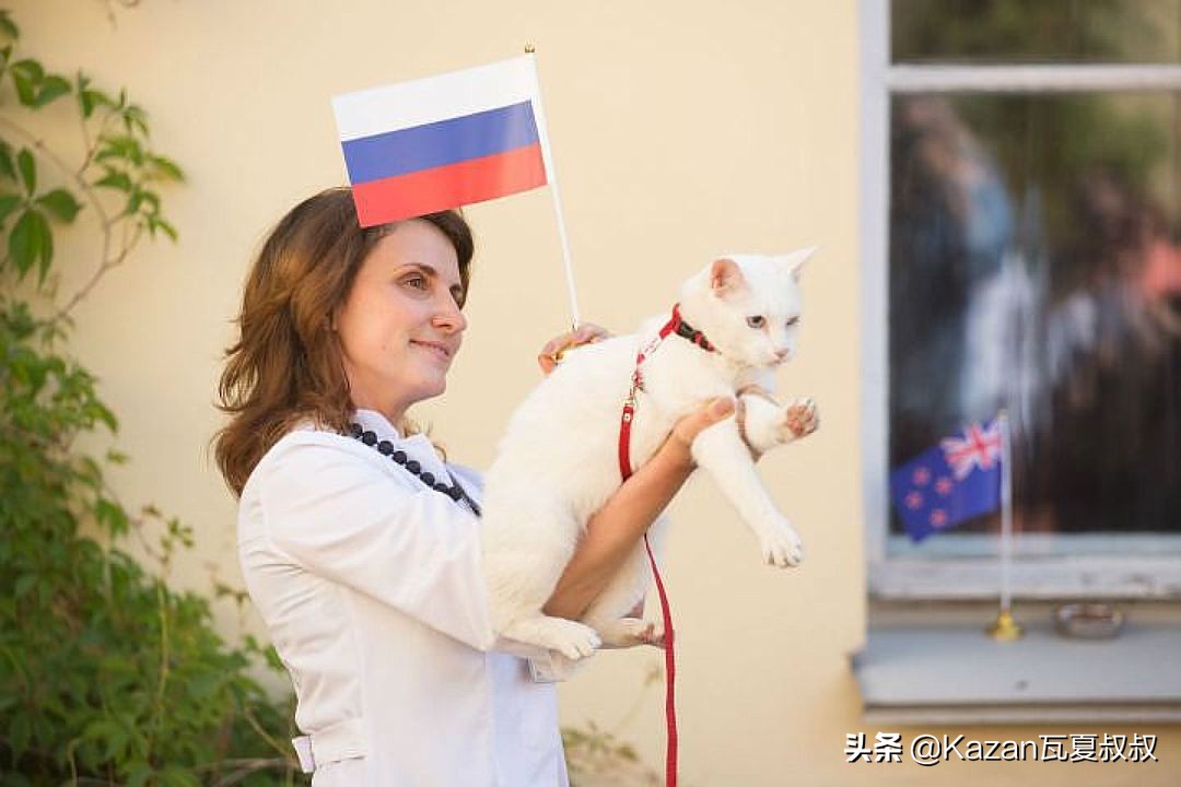 俄罗斯世界杯猫,俄罗斯最霸气的猫咪