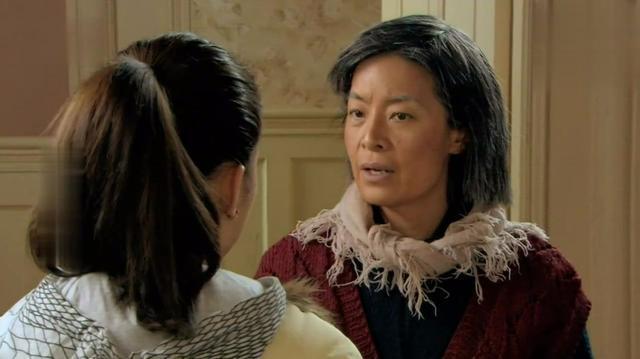 婆婆来了何琳打婆婆后来怎么样了,婆婆来了何琳第一次去农村婆婆家